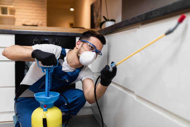 Best Cockroach Control Services  in Youngtown, AZ