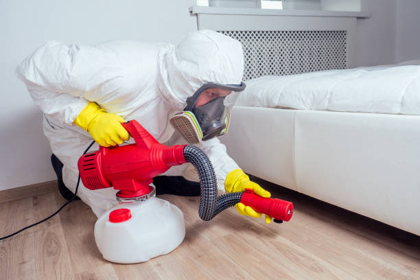 Trusted Youngtown, AZ Pest Control Experts