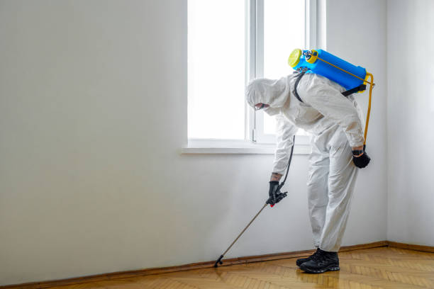 Best Cockroach Control Services  in Youngtown, AZ