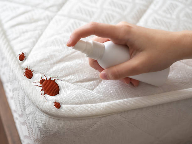 Best Commercial Pest Control Services  in Youngtown, AZ